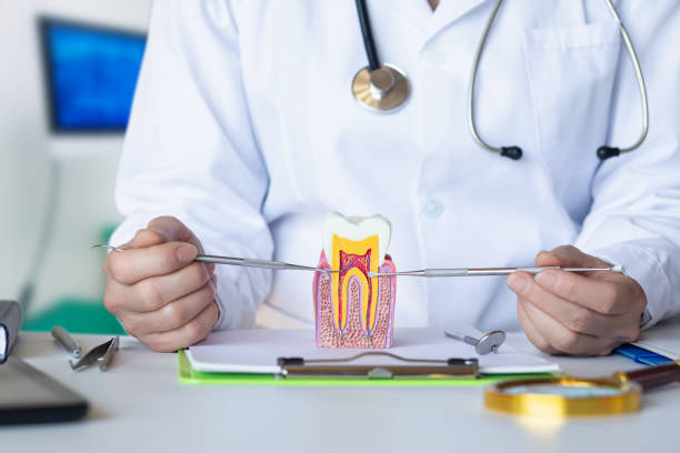 Best Urgent Dental Care for Toothache in Wyanet, IL